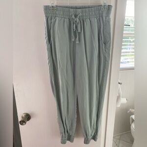 Cloth and Stone Joggers